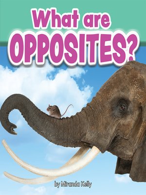 cover image of What Are Opposites?